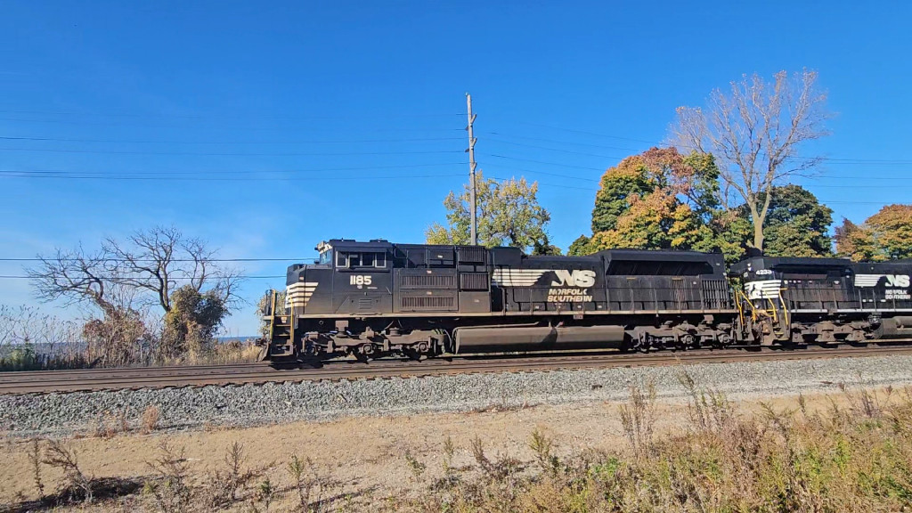 NS 1185